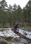 DSC02450.jpg