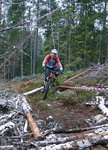 DSC02703.jpg