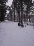 IMG_20171118_130703.jpg
