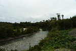 DSC_4420.JPG