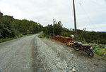DSC_4428.JPG