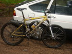 STP61594.JPG