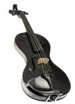 LandCviolin605.27lg[1].jpg