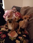 IMG_20171223_190726.jpg