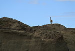 DSC_8193.JPG