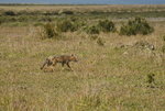 DSC_8330.JPG