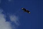 DSC_8362.JPG