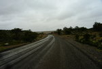 DSC_8638.JPG