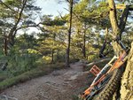 IMG_20180107_141657.jpg