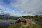 DSC_8972.JPG