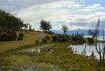 DSC_8976.JPG
