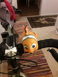 20180118_182622.jpg