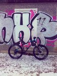aviary-image-1516474157984.jpeg