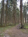 Sommarskog.jpg