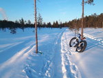 20180220_151512.jpg
