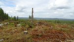 DSC01134.JPG