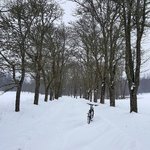 20180228_114214.jpg
