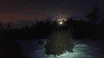 20180301_060426_low.jpg