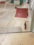 20180301_192046.jpg