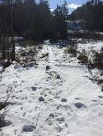 IMG_1466.JPG