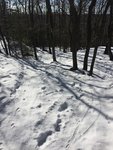 IMG_1468.JPG