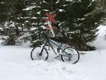 IMG_0451.JPG