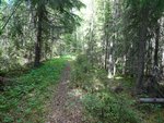 DSC00664.JPG