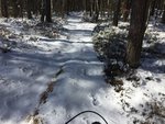 IMG_1482.JPG