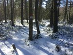 IMG_1484.JPG