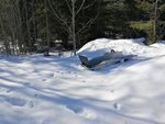 IMG_20180402_131755.jpg
