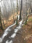 IMG_1560.JPG