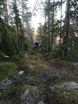 IMG_20180418_190902.jpg