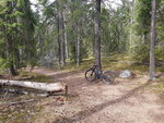 20180419_124823.jpg