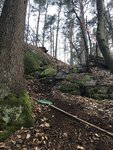 08F1D757-6097-450C-8A4C-39697B911565.jpeg