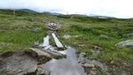 DSC01864.JPG