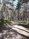 20180518_091941.jpg