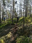 IMG_20180519_113537_009.jpg