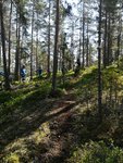 IMG_20180519_113647_015.jpg