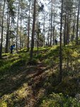IMG_20180519_113447_019.jpg