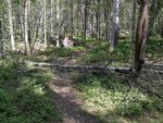 IMG_20180520_150822.jpg