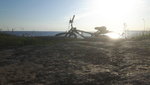 20180520_192420.jpg