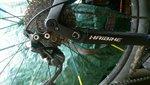 IMG_20170803_110156.jpg