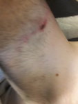 20180602_211138.jpg