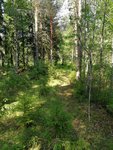 IMG_20180603_144036.jpg