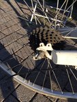 IMG_0011.jpeg