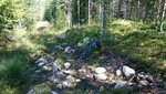 DSC_0394.JPG