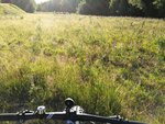IMG_20180612_192920.jpg