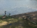 IMG_1764.JPG