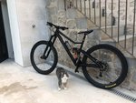 2018-06-19 19.56.50.jpg