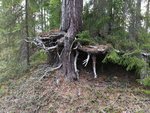 IMG_20180625_210710.jpg